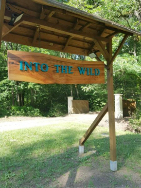 INTO THE WILD - Nos 5 logements 